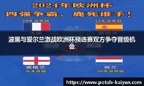 波黑与爱尔兰激战欧洲杯预选赛双方争夺晋级机会