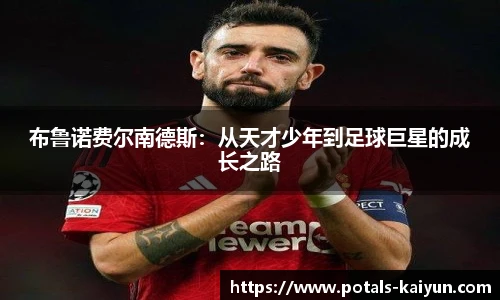 开云app